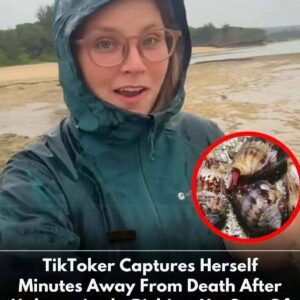 TikToker Captures Terrifying Moment Before Nearly Dying From Handling Deadly Creature